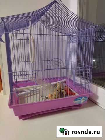 Клетка для попугая Шуя - изображение 1