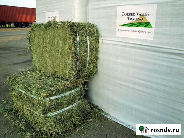 Сено разнотравье 2021года Подольск - изображение 1