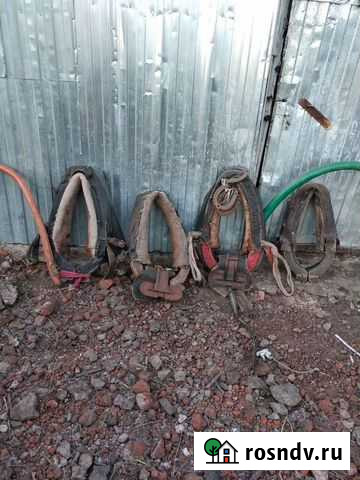 Товары для животных оптом Мичуринск - изображение 1