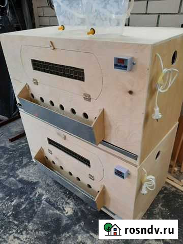 Брудер для цыплят гусят утят Орехово-Зуево - изображение 1