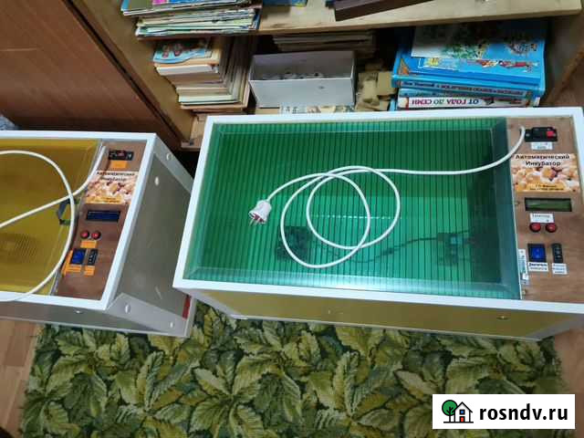 Инкубаторы Иваново - изображение 1