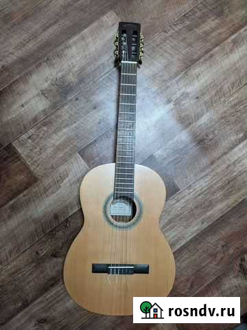 Гитара Петропавловск-Камчатский - изображение 1