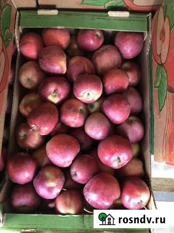 Продам красные яблоки Бийск - изображение 1