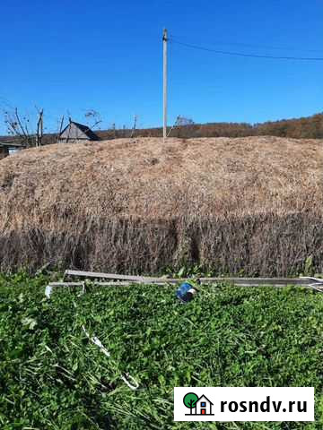 Сено Нефтегорск - изображение 1