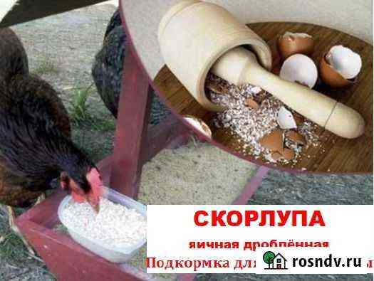 Яичная скорлупа молотая на корм и yдoбpенuя Оренбург
