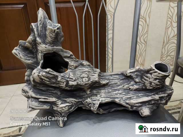 Грот коряга Белгород - изображение 1