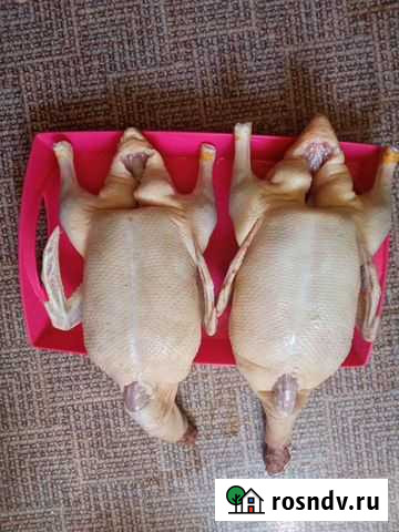 Мясо уточки ст5 Пугачев - изображение 1