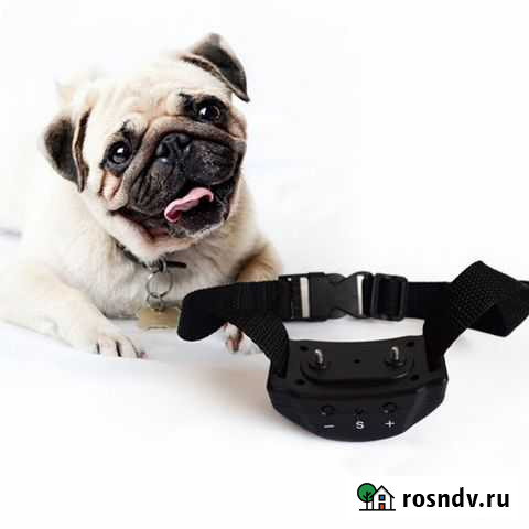Электронный ошейник для собак Салават - изображение 1
