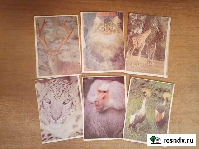 Календарики Екатеринбург - изображение 1