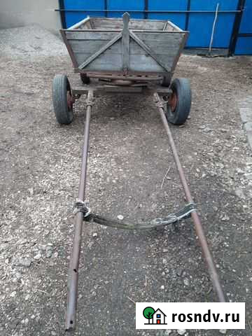 Животные Залукокоаже - изображение 1