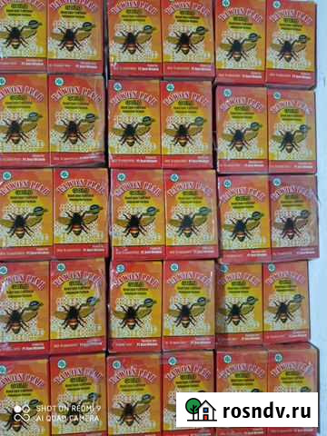 Пчелки 16 Хасавюрт - изображение 1