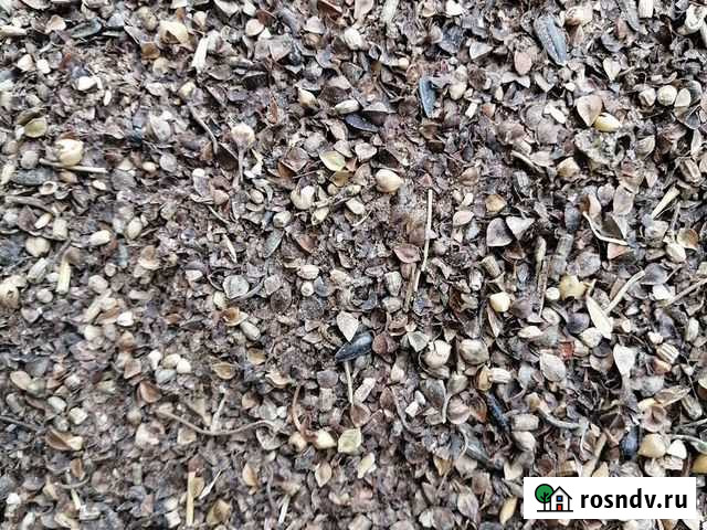 Гречневые отходы Увельский - изображение 1