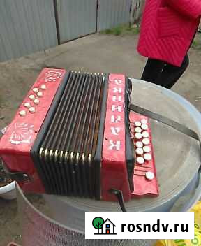 Гармонь теза детская Бузулук - изображение 1