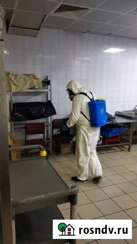 Уничтожение тараканов, плесени, клопов, клещей Пушкино - изображение 1