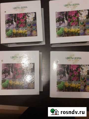 Набор Цветы дома. Шаг за шагом Ижевск - изображение 1