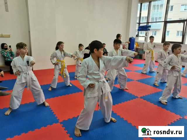 Тренировки, занятия по тхэквондо Выборг - изображение 1