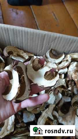Грибы белый сушеный Волгоград - изображение 1