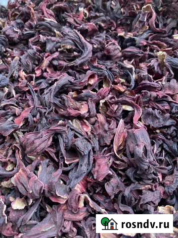 Гибискус каркаде Симоненко - изображение 1