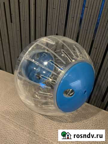 Шар для грызунов Мытищи - изображение 1