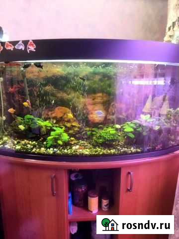 Аквариум с тумбой бу Развилка - изображение 1