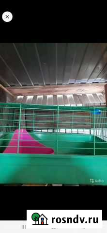 Клетка для грызунов Камень-на-Оби - изображение 1