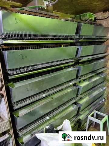 Перепелиная ферма Рязань - изображение 1