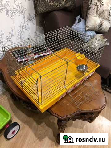 Клетка от джунгарика Нижний Тагил - изображение 1