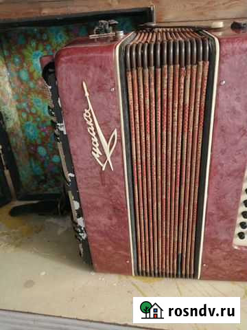 Гармони Заволжье - изображение 1