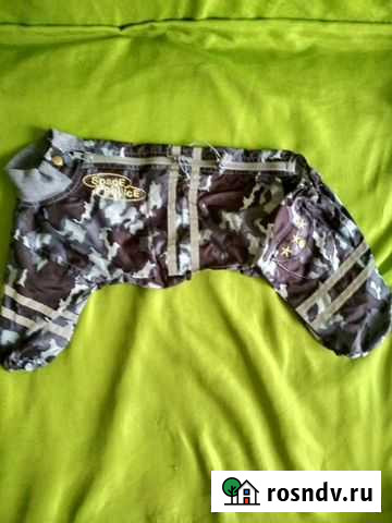 Комбинезон для собак Ржев - изображение 1