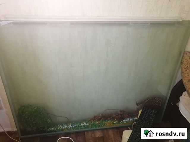 Аквариум Кемерово - изображение 1