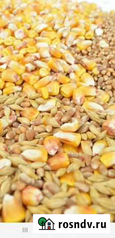 Зерносмесь с горохом Кропоткин - изображение 1