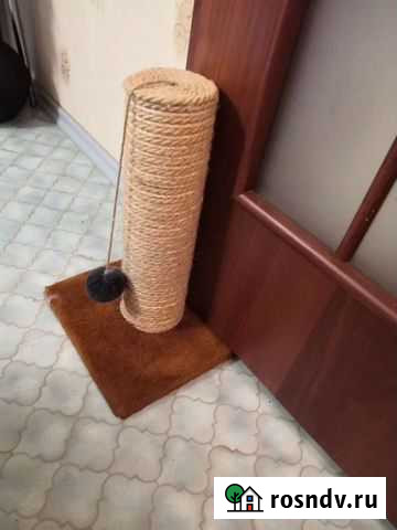 Когтеточка для кошек бу Сургут - изображение 1