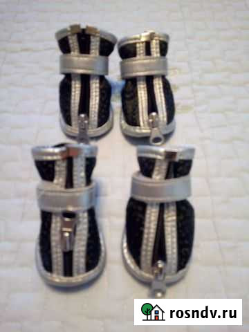 Обувь для собачки Астрахань - изображение 1