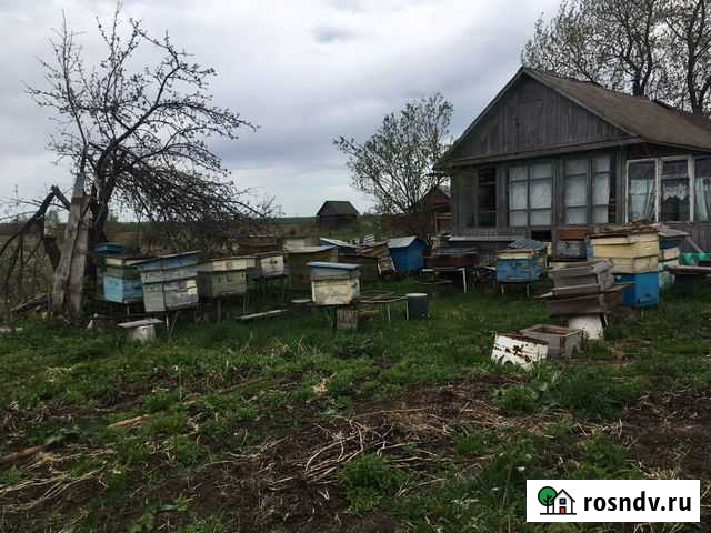 Пчелиные улья, рамки Владимир - изображение 1