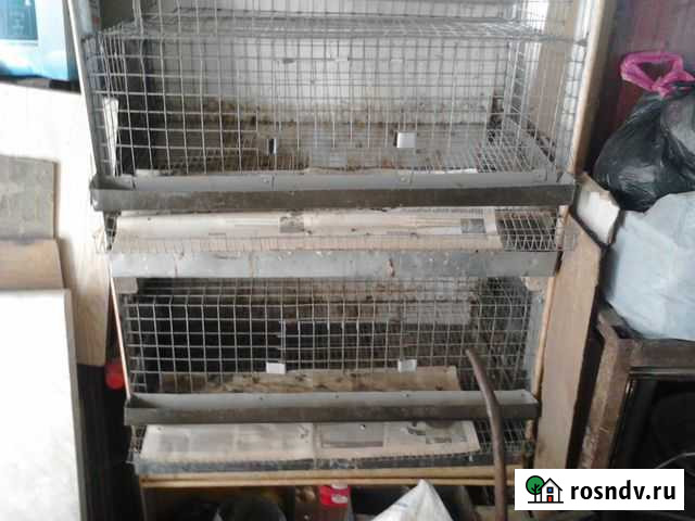 Клетки для перепёлок Избербаш - изображение 1