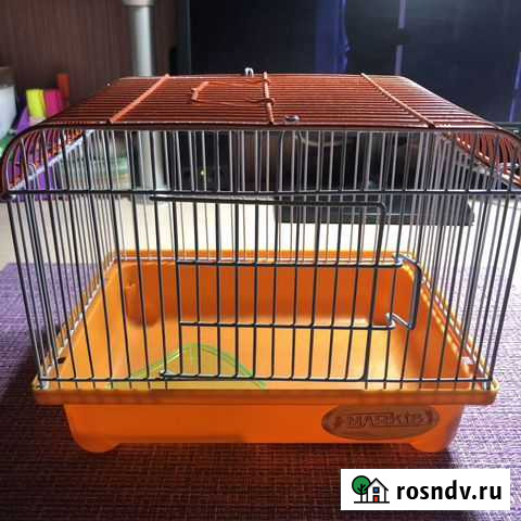 Клетка для грызунов Брянск - изображение 1