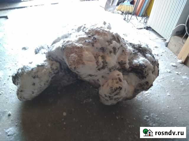 Сувель березовый ЛМС - изображение 1