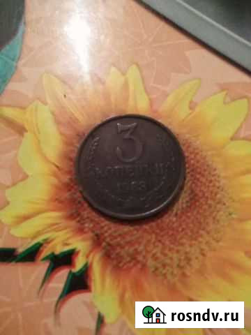 Монеты Мичуринск - изображение 1