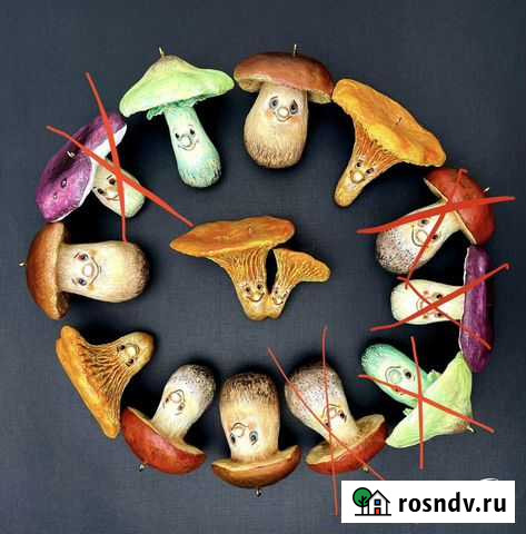 Ёлочные игрушки из папье-маше (новые) Солнечногорск - изображение 1