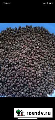 Черемуха Улан-Удэ - изображение 1