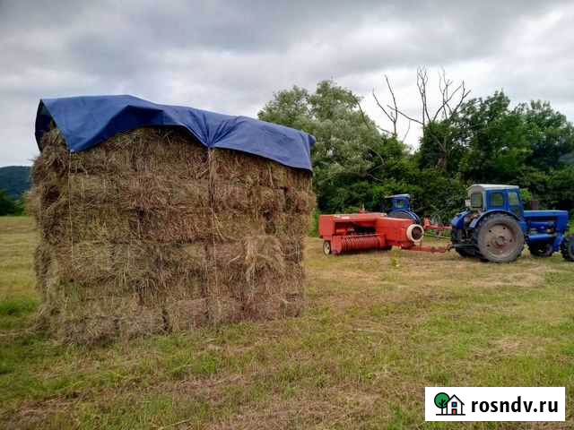 Сено тюки Дивноморское - изображение 1