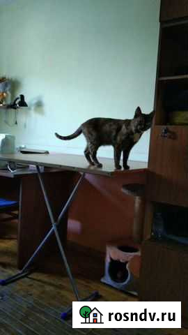 Швея на дому Екатеринбург - изображение 1