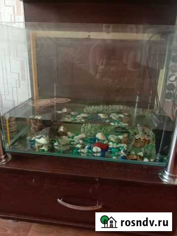 Аквариум с черепахами Чита - изображение 1