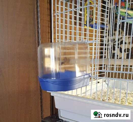 Купалка для птиц Железногорск - изображение 1