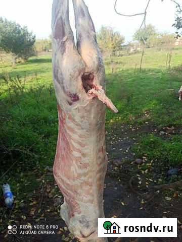 Мясо козье Автуры - изображение 1