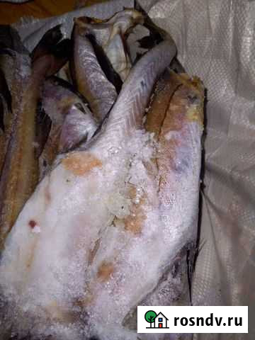 Минтай свежемороженный Нефтекамск - изображение 1