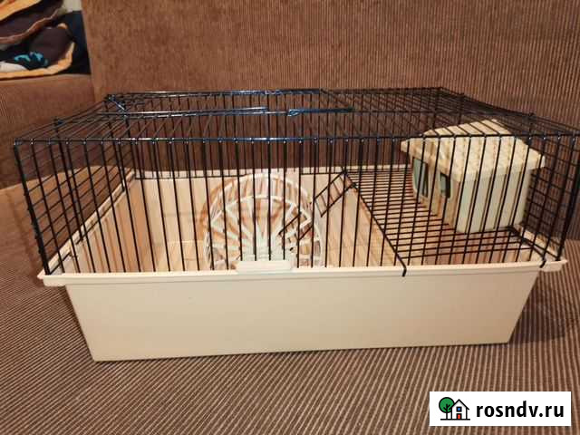 Клетка для хомяка Острогожск - изображение 1
