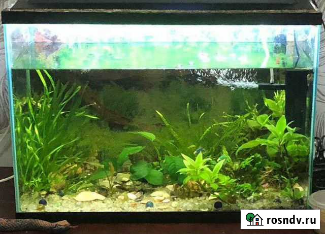 Аквариум б/у 60 литров Балашиха - изображение 1