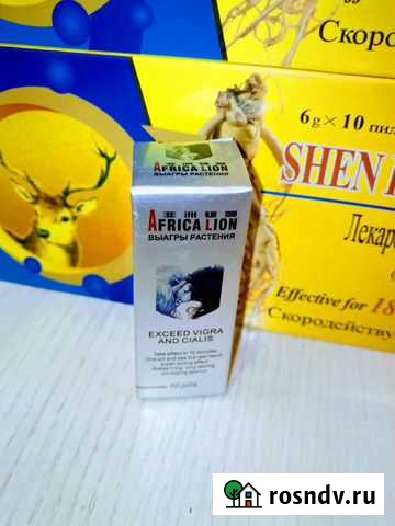 Африка Лев Надым - изображение 1