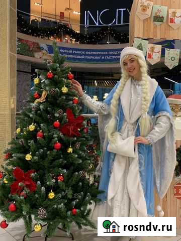 Дед Мороз и Снегурочка Рязань - изображение 1